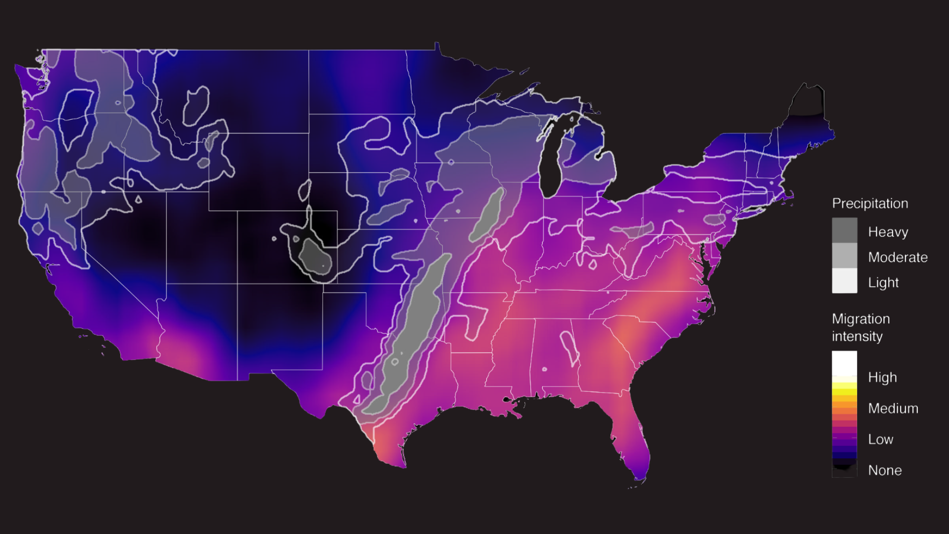 Screen showing BirdCast nocturnal migration map with radar data over North America