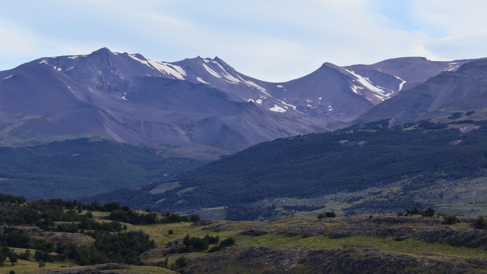 Birder scanning the wide Patagonian steppe with binoculars under a clear sky