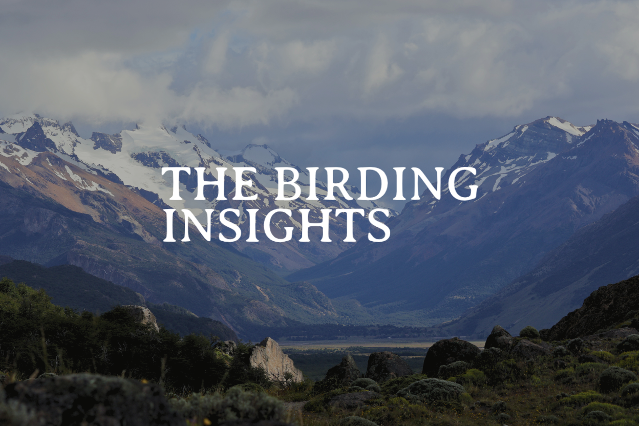 The Birding Insights logo on a natural background