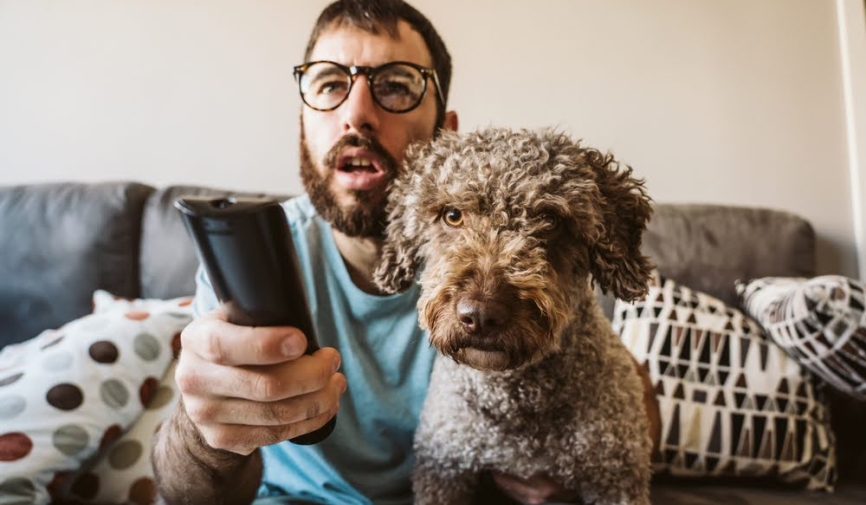 Hombre joven viendo una película con su perro | Películas como Y tu mamá también