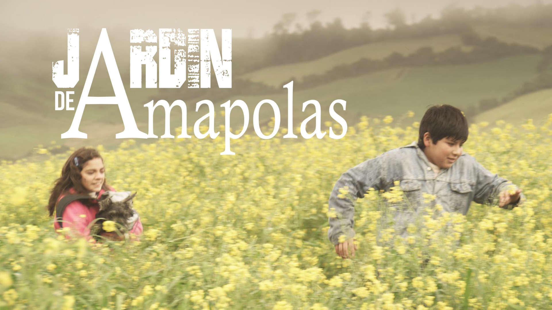 Poster de Jardin de Amapolas