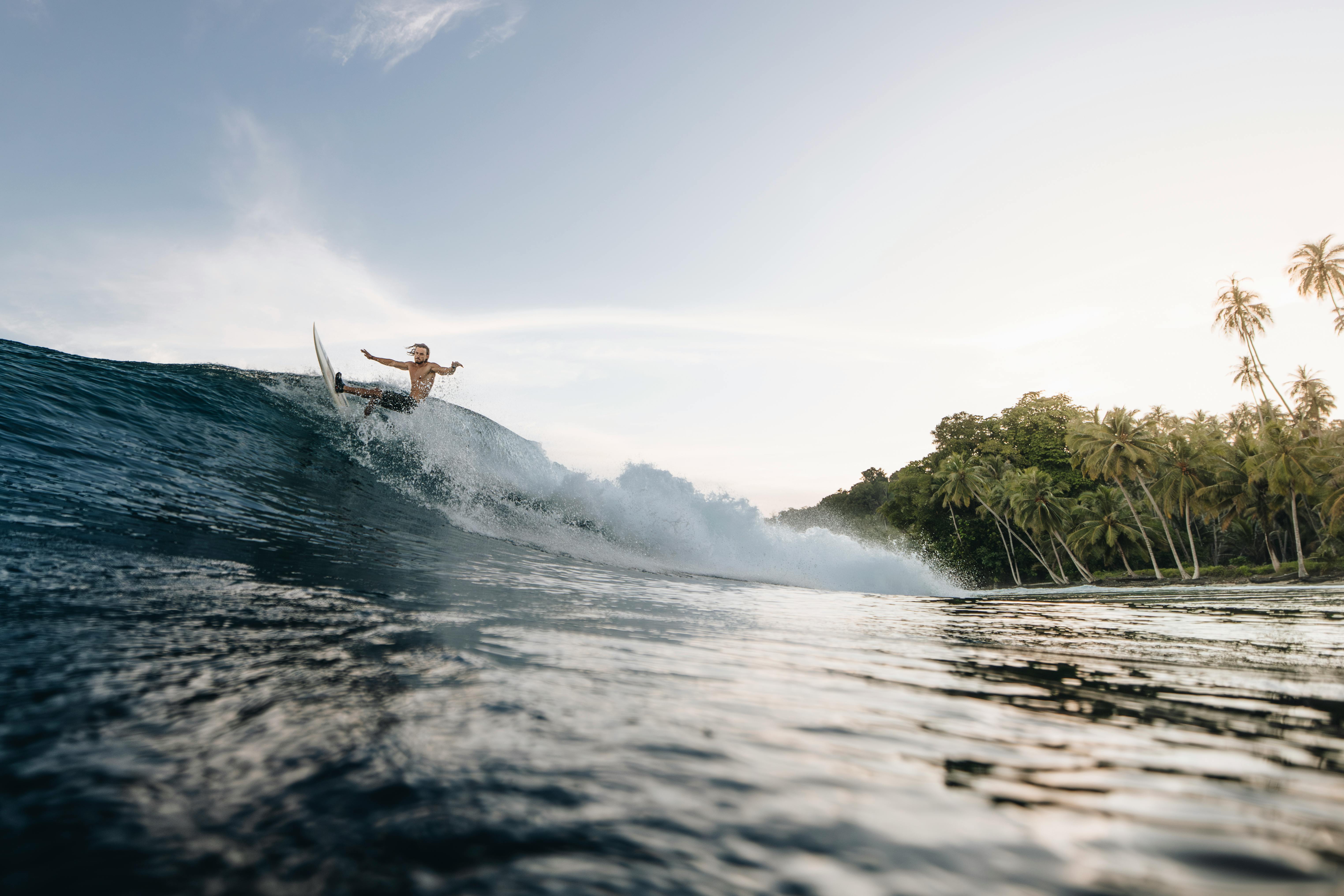 Surfer riding a large wave near a tropical shoreline with palm trees under a bright sky.