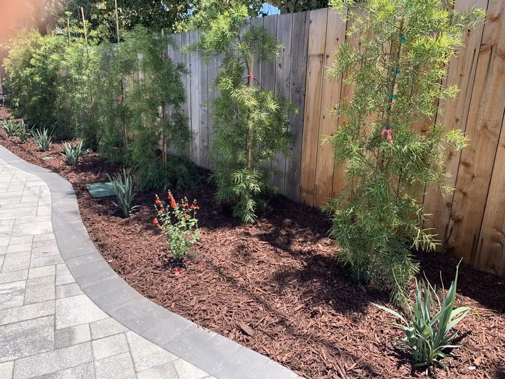 Harshawardhan softscape backyard remodel