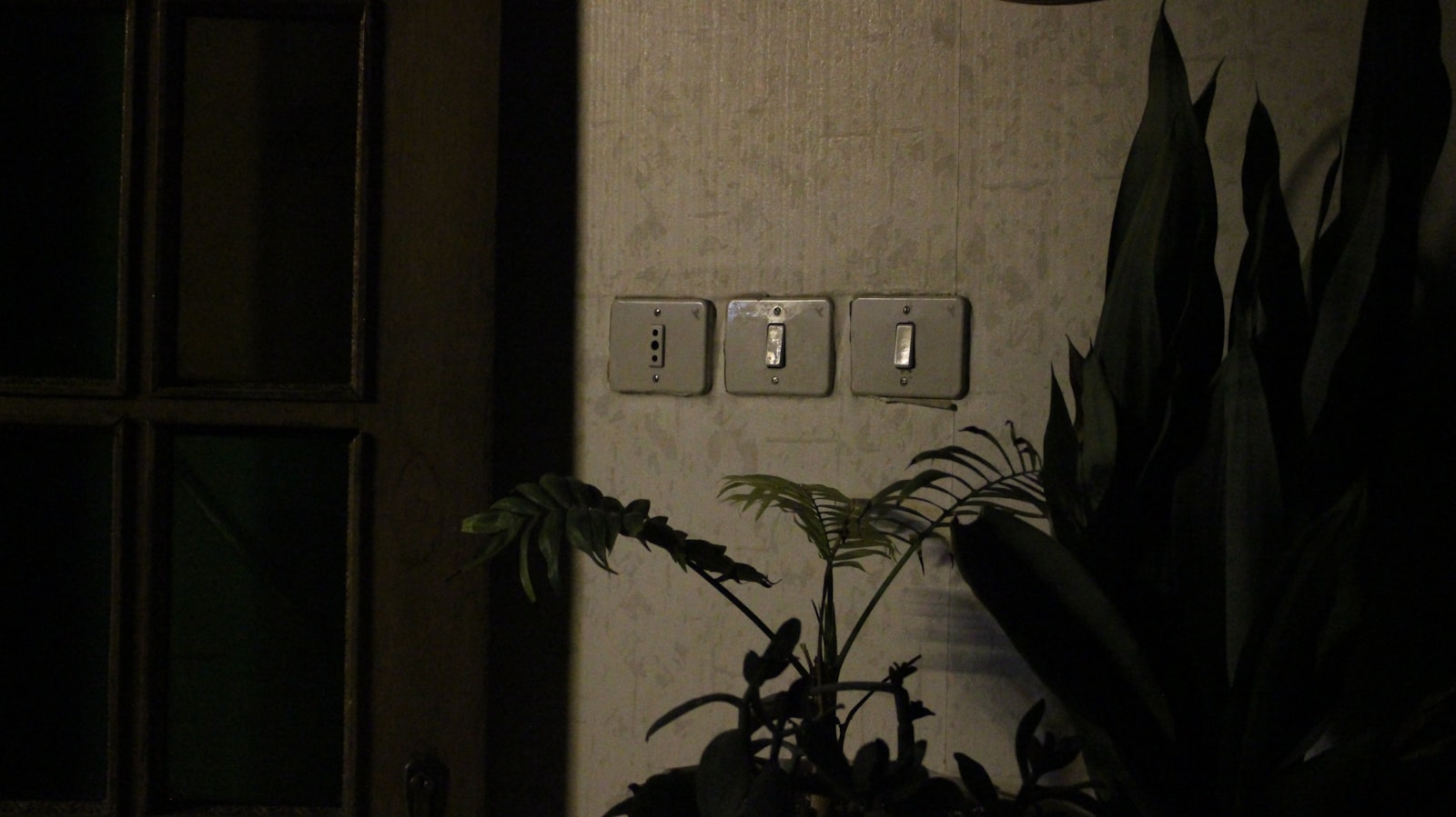 New electrical outlets and light switches installed in a modern NJ home by Trapani Electric
