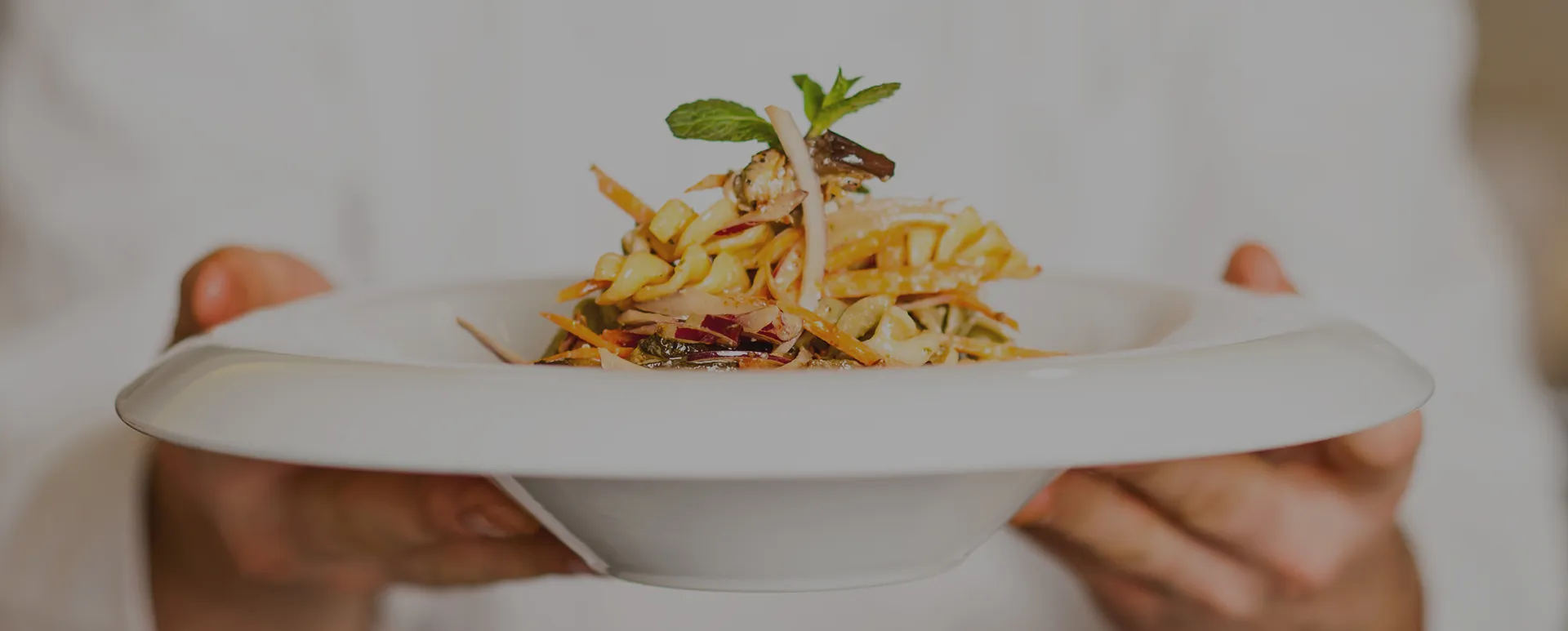 Close-up of a white plate with a small serving of mixed pasta salad garnished with a mint leaf, held by hands.