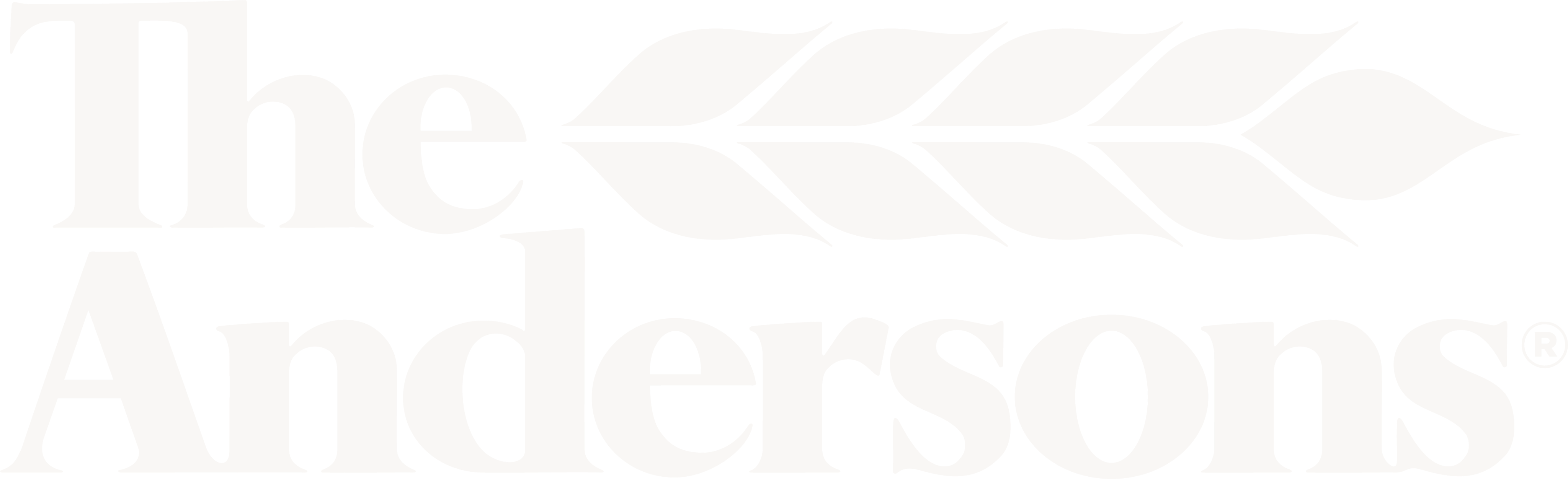 The Andersons logo with stylized wheat symbol.