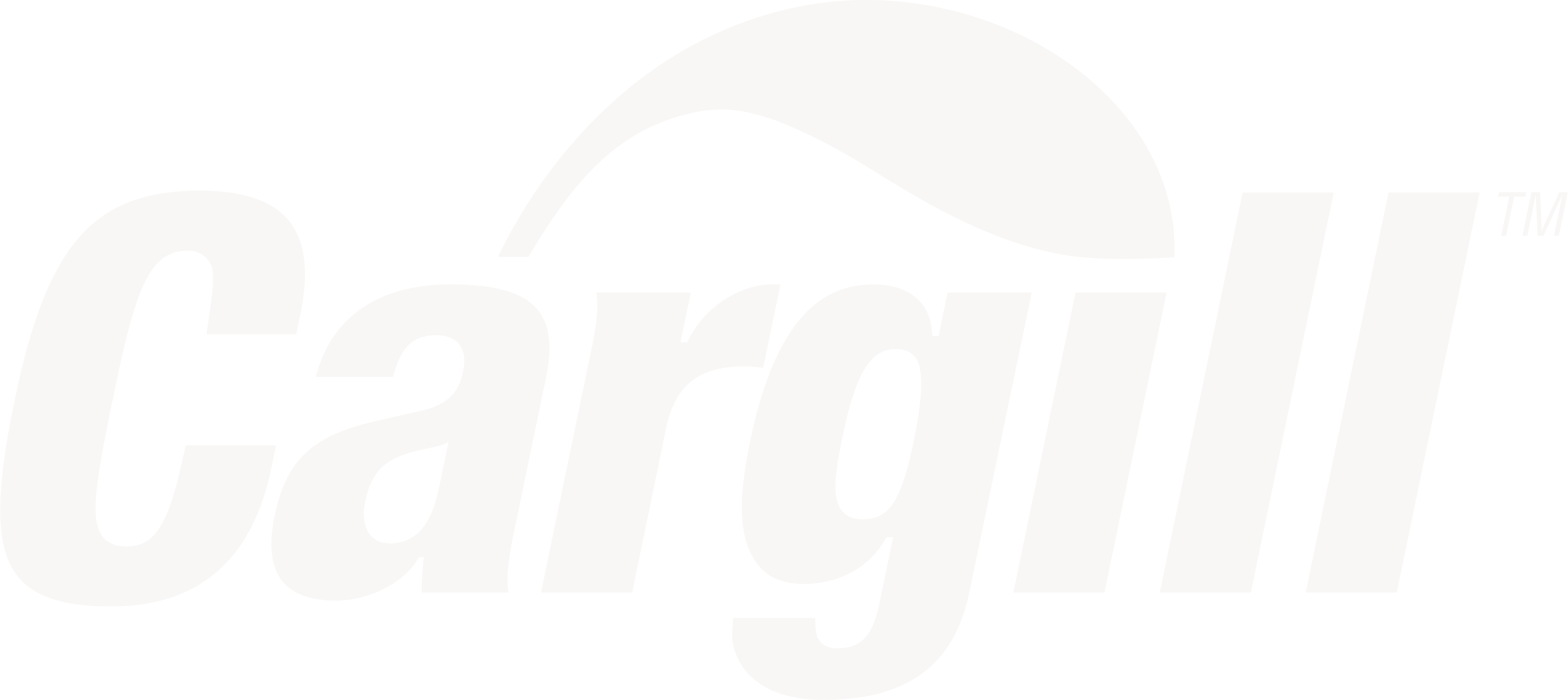 Cargill company wordmark logo with a curved shape above the letters.