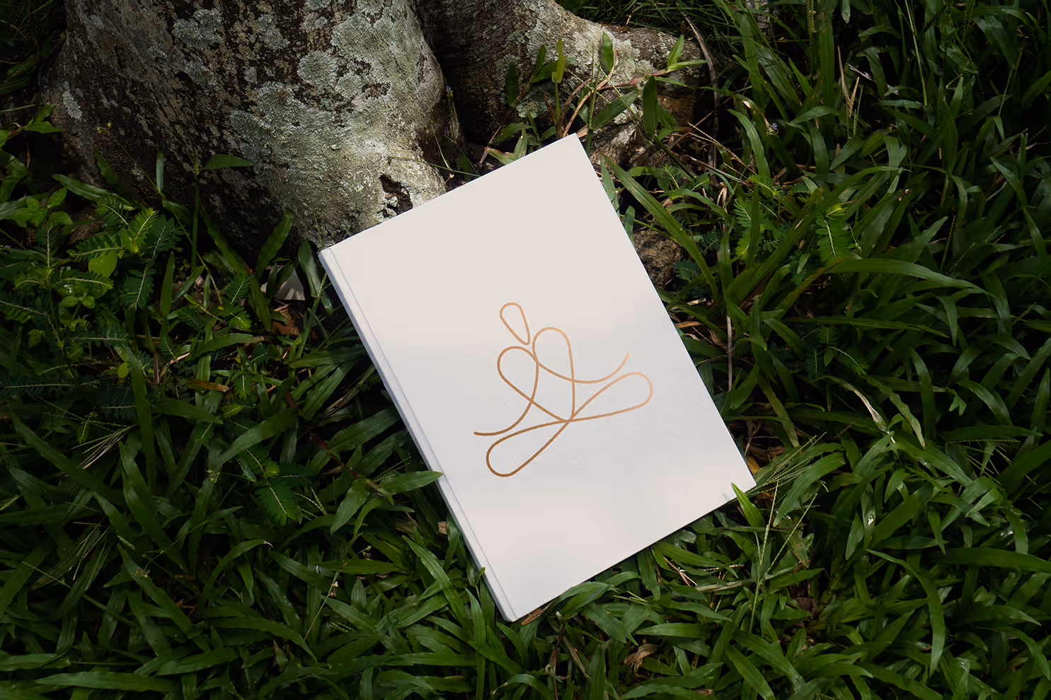 White book with a gold abstract line illustration on the cover lying on green grass by a tree trunk.
