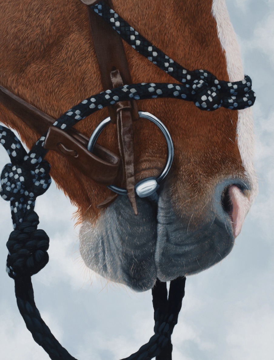 A painting of a chestnut horse’s muzzle in close-up, with a leather bridle, a silver ring snaffle bit and a black and white braided rope halter against a pale, cloudy sky.
