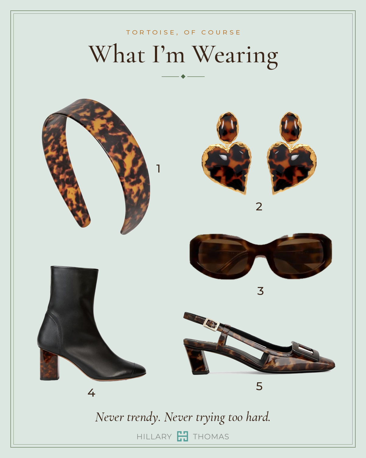 What I’m Wearing: five tortoise accessories, numbered one to five.