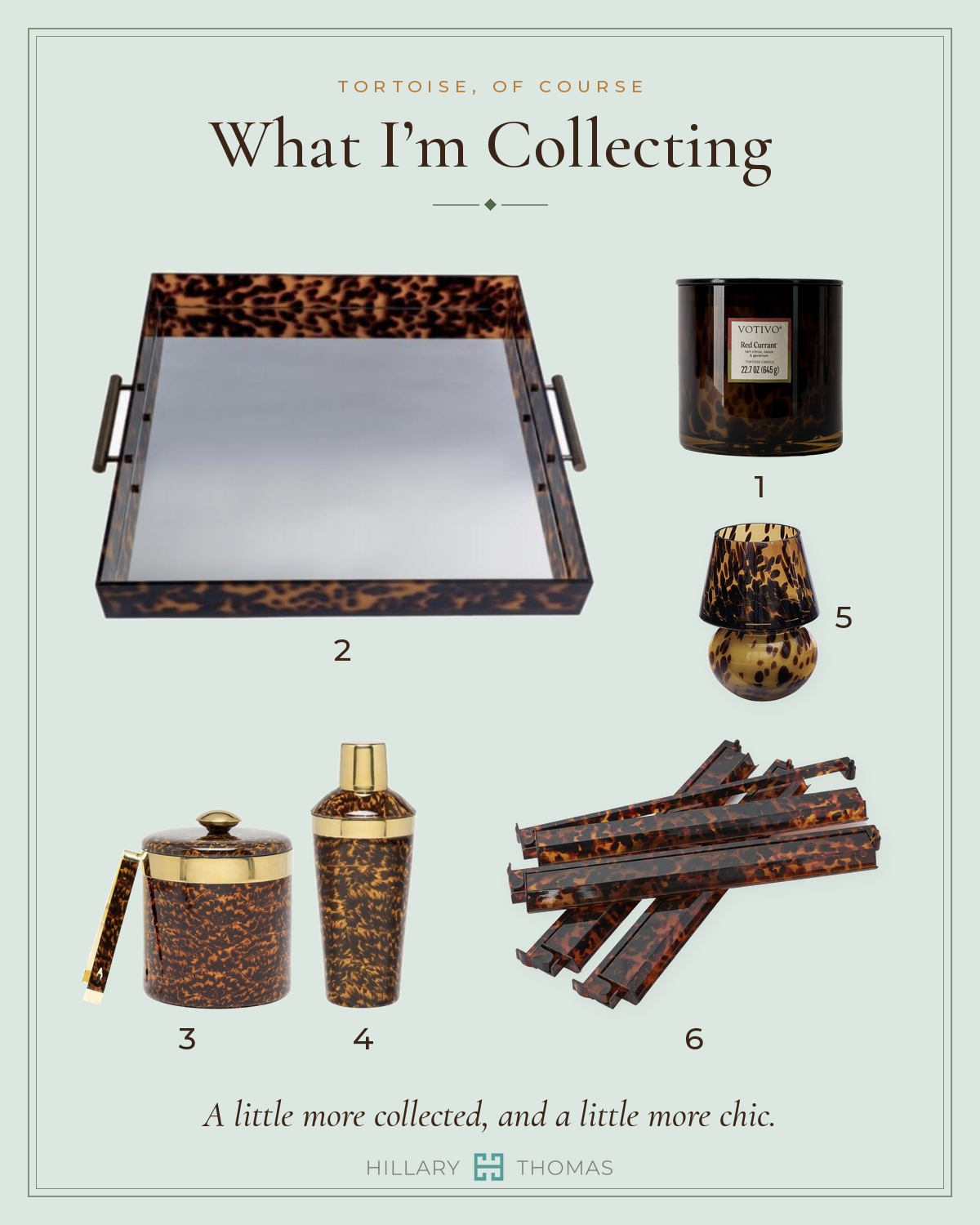 What I’m Collecting: six tortoise objects to collect, numbered one to six.