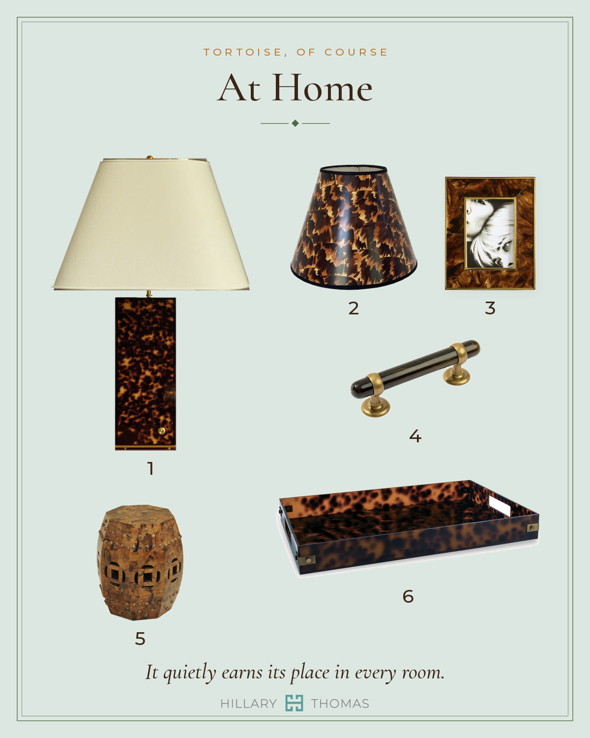 At Home: six tortoise finds for the home, numbered one to six.