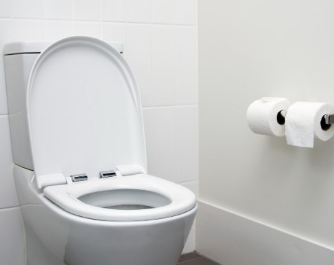 Toilet Repairs & Installation