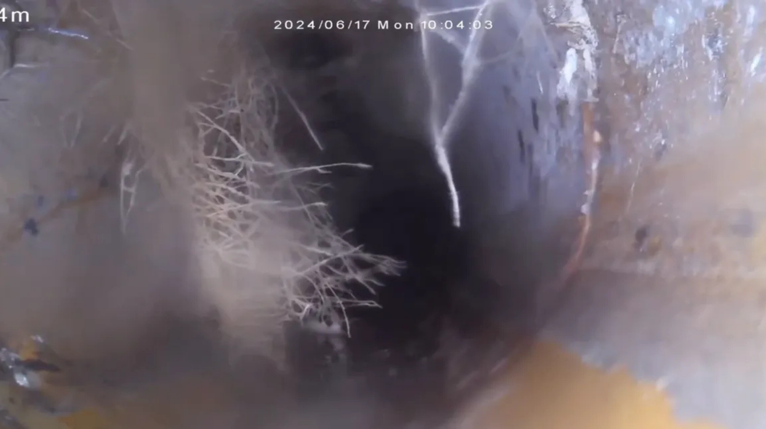 CCTV Drain Inspections
