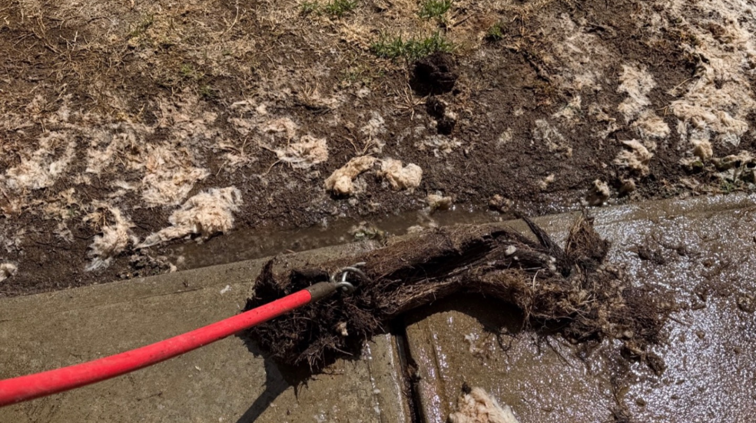 Blocked Drains