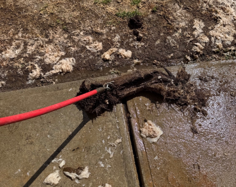 Blocked Drains
