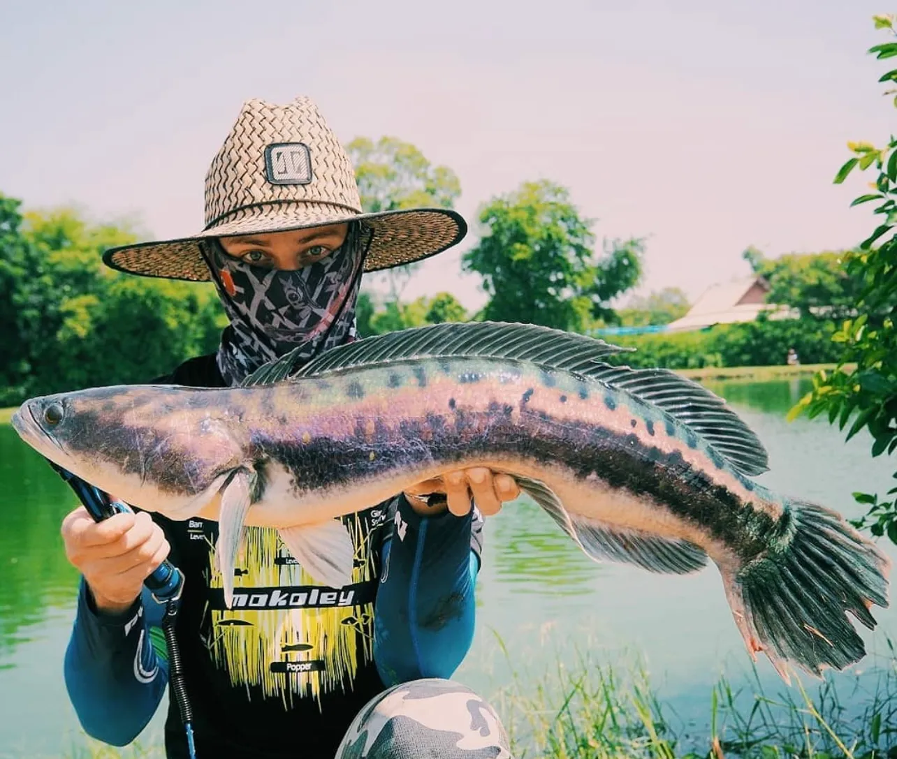 A predator fishing pond at Pilot 111, a lure-only fishing venue near Bangkok, Thailand