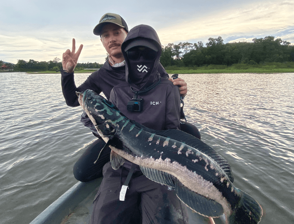 Spinnerbait fishing for momma snakehead guarding fry in a Thai waterway