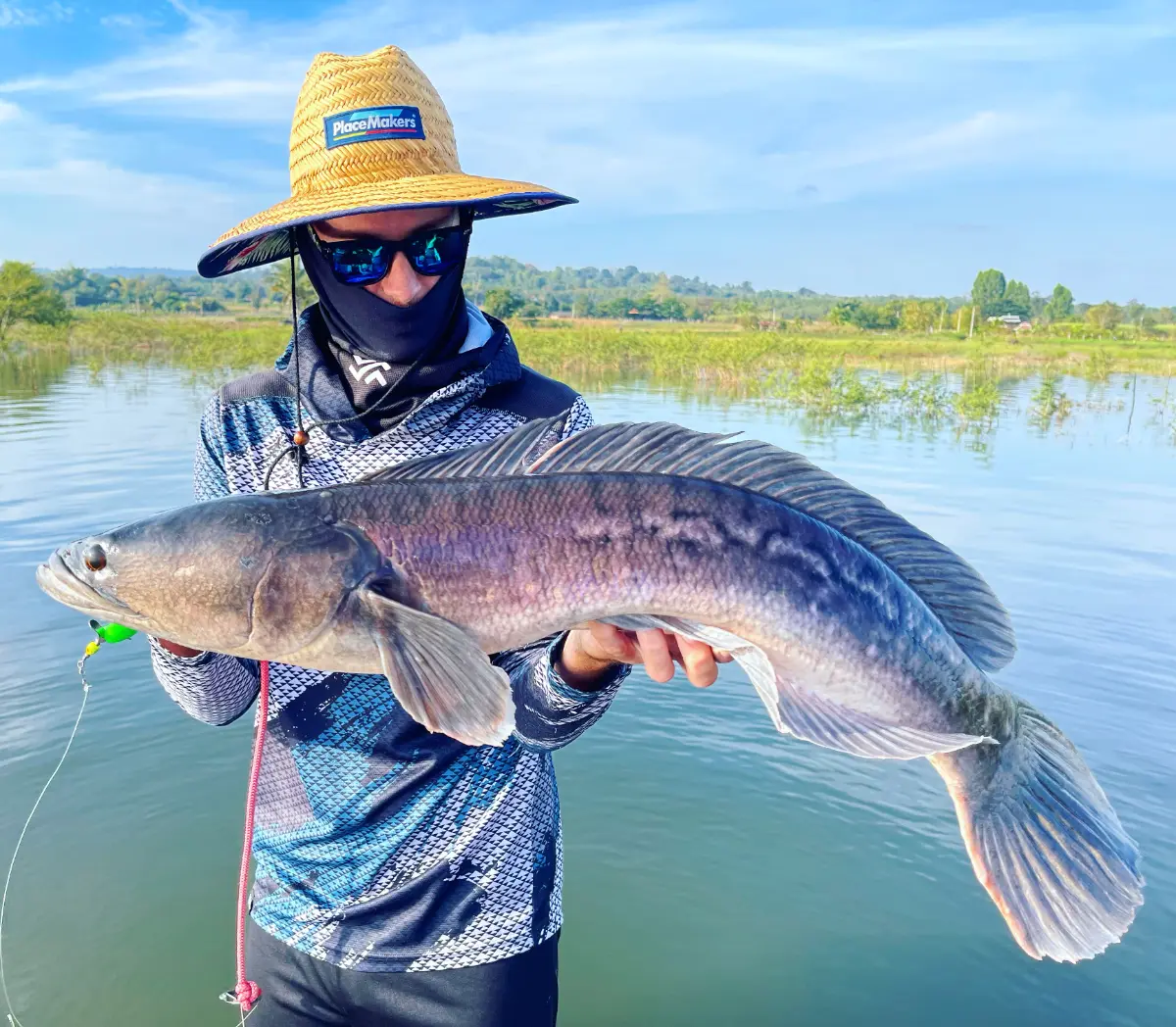 Sight casting for giant snakehead in shallow water in Thailand