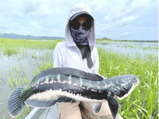 Fish species targeted by anglers in Thailand
