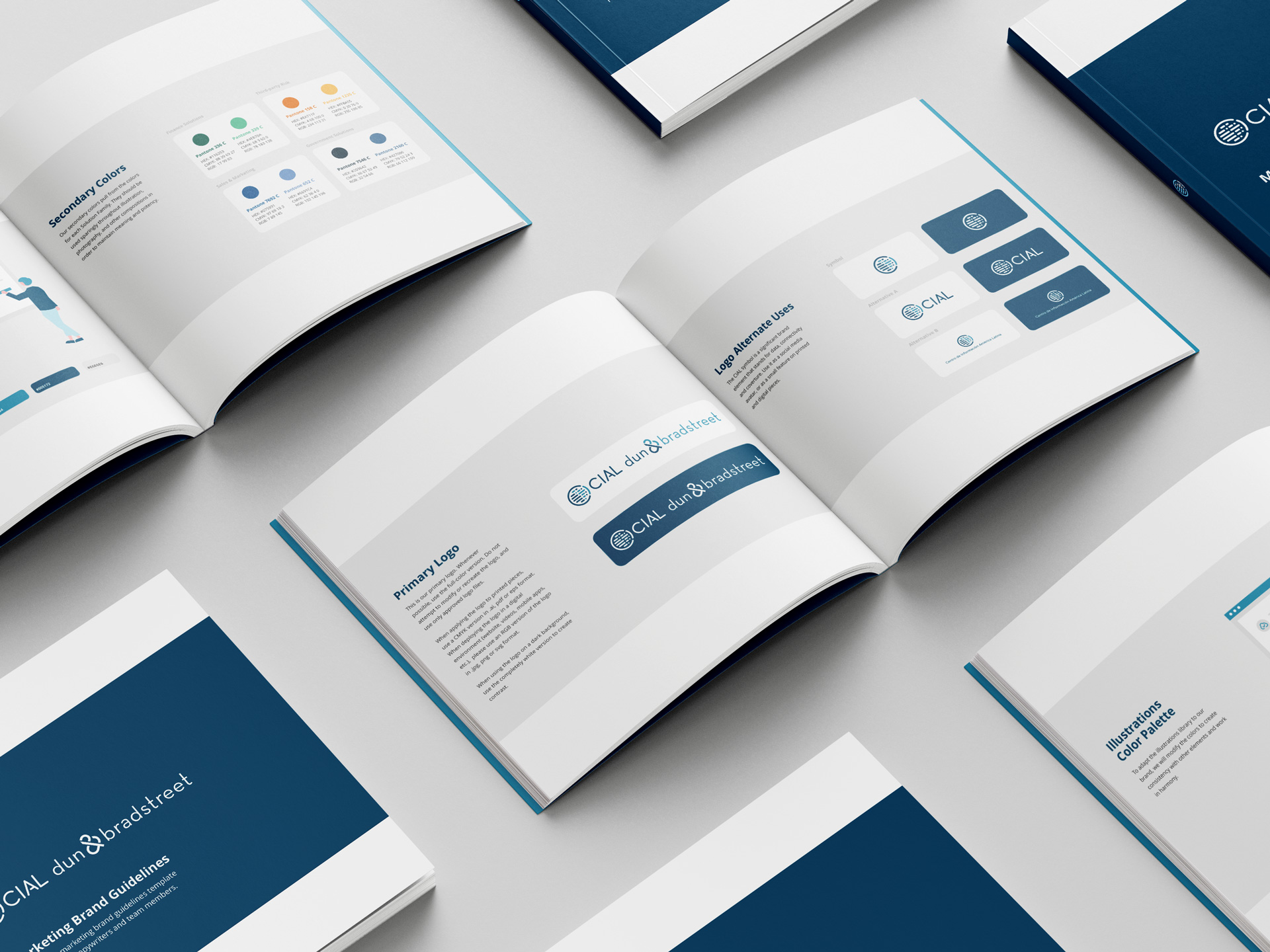 Open brand guidelines book showing logo usage, color palette, and secondary colors for CIAL dun & bradstreet.