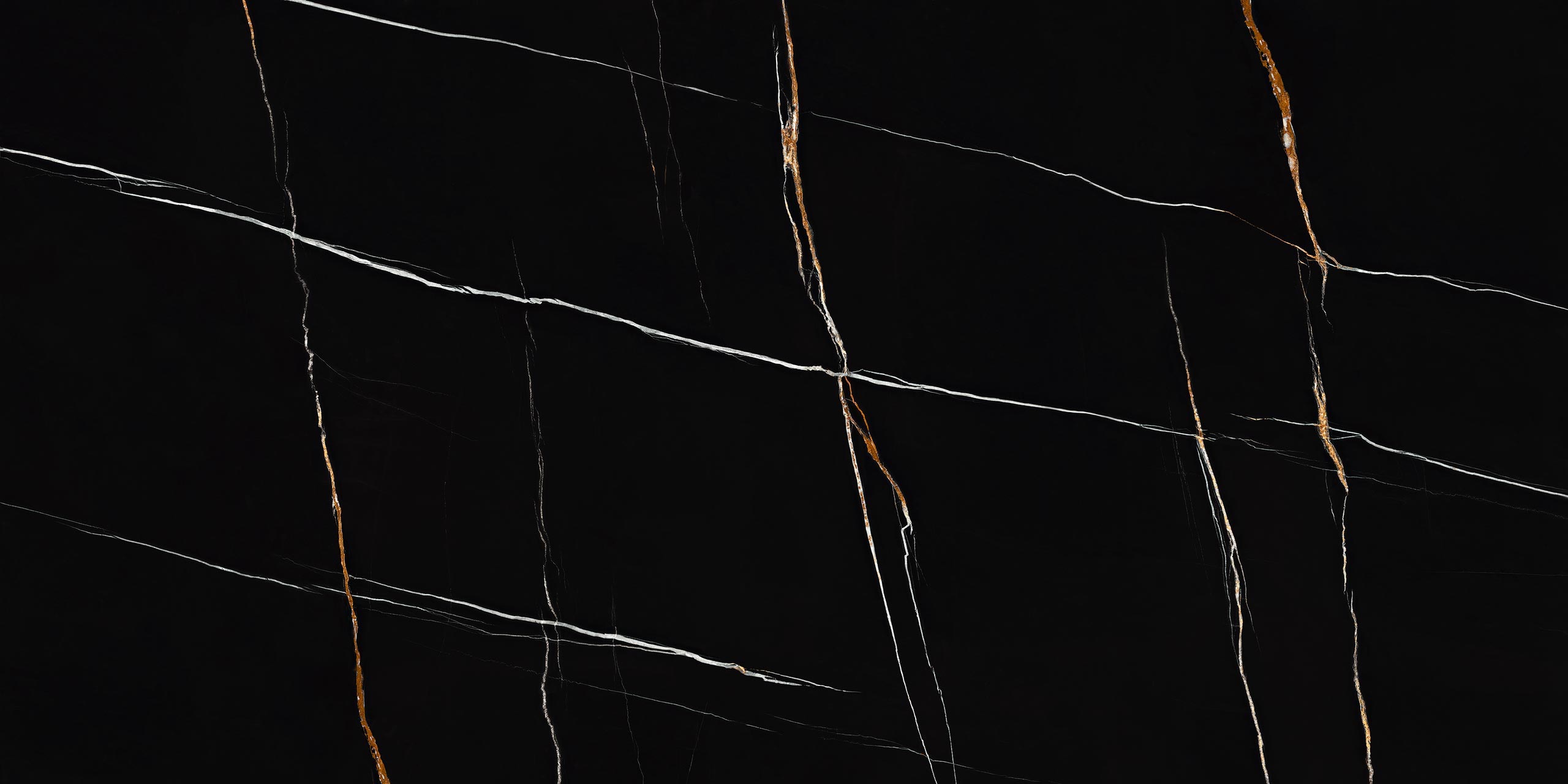 Sahara Noir