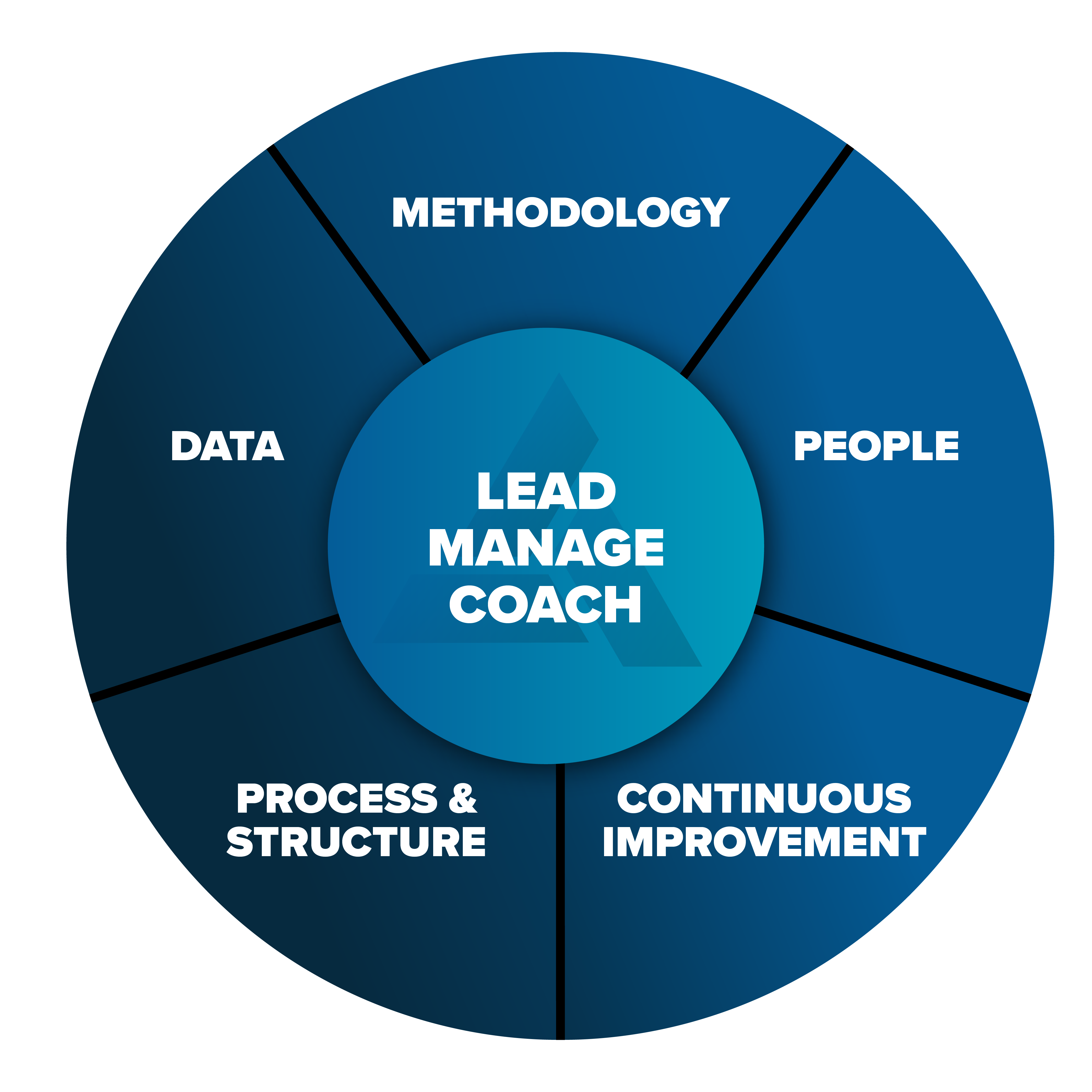 The Axiom Sales Excellence Model — Methodology, People, Continuous Improvement, Process & Structure, and Data, around the manager’s job to Lead, Manage, and Coach.