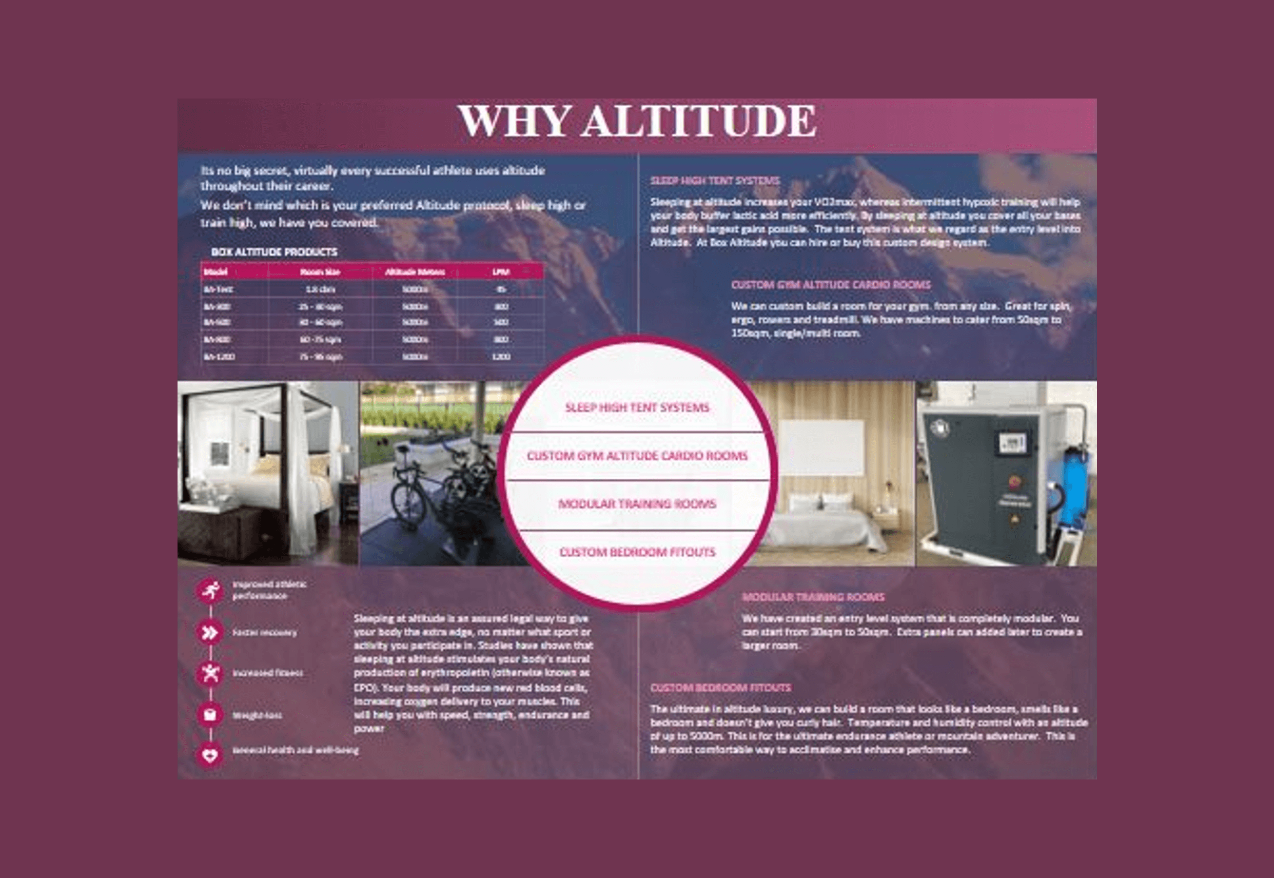 Business Strategy Presentation - Executive Summary