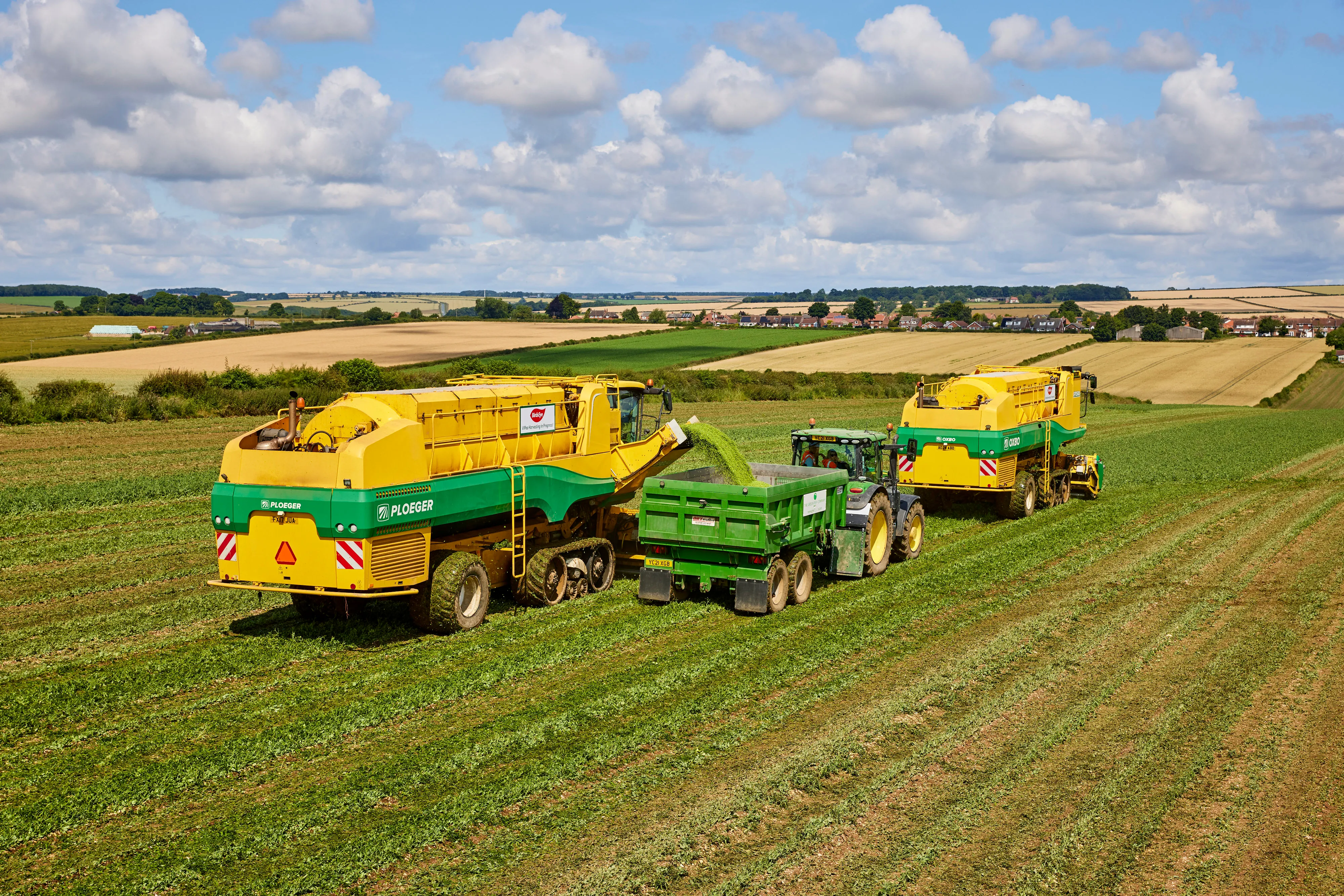 Agriculture