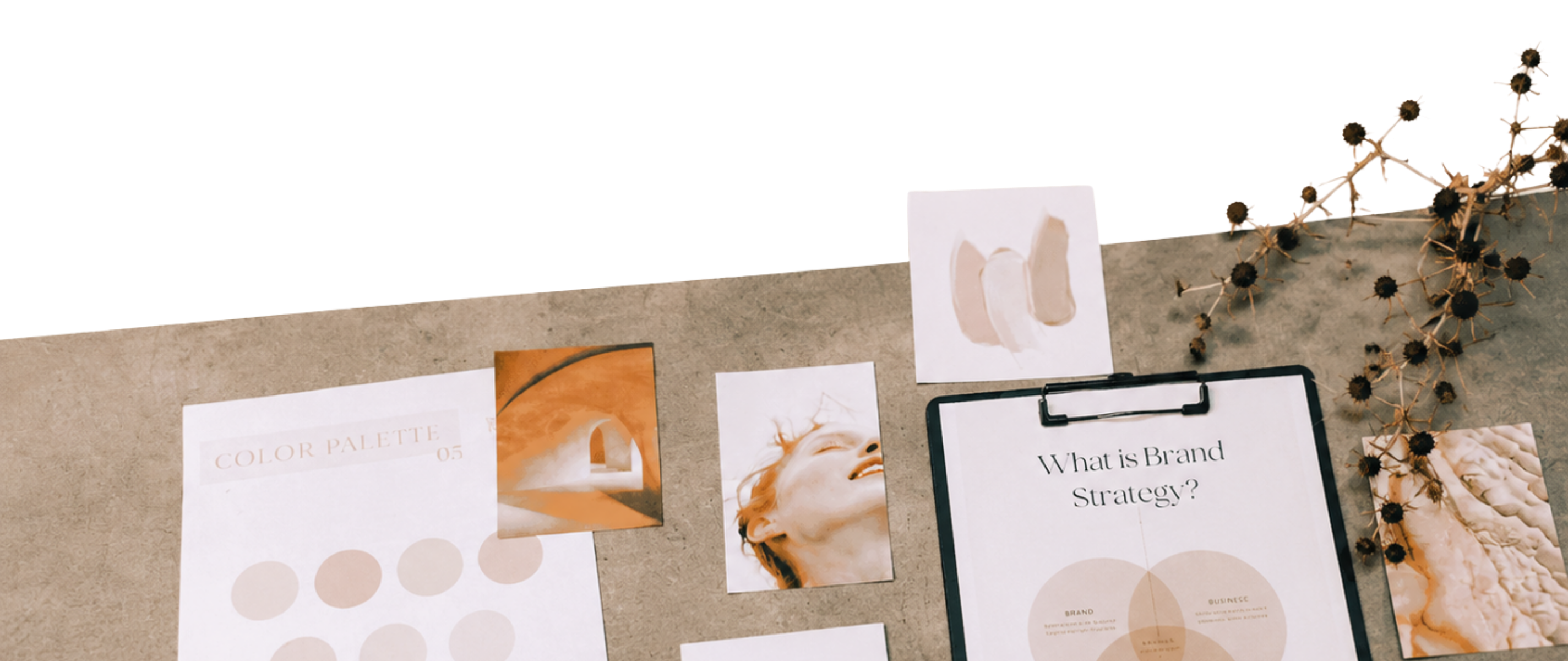 Branding strategy and visual identity design for Sydney businesses