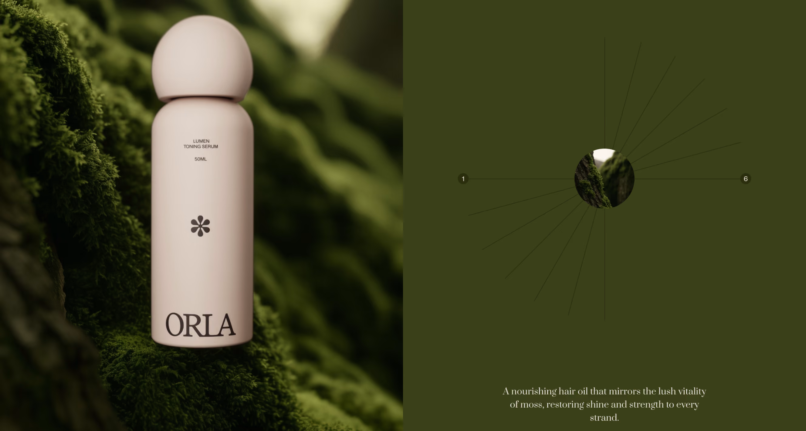Beauty Ecommerce Website Design