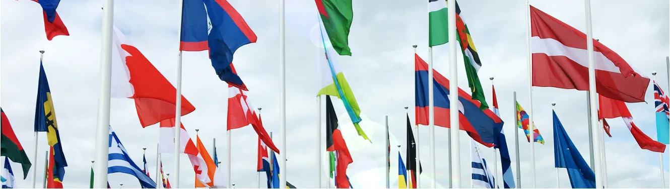 International flags representing the diverse student community at FH Münster MIMS