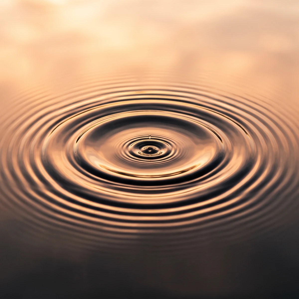 Concentric ripples spreading evenly across still water in warm golden light.