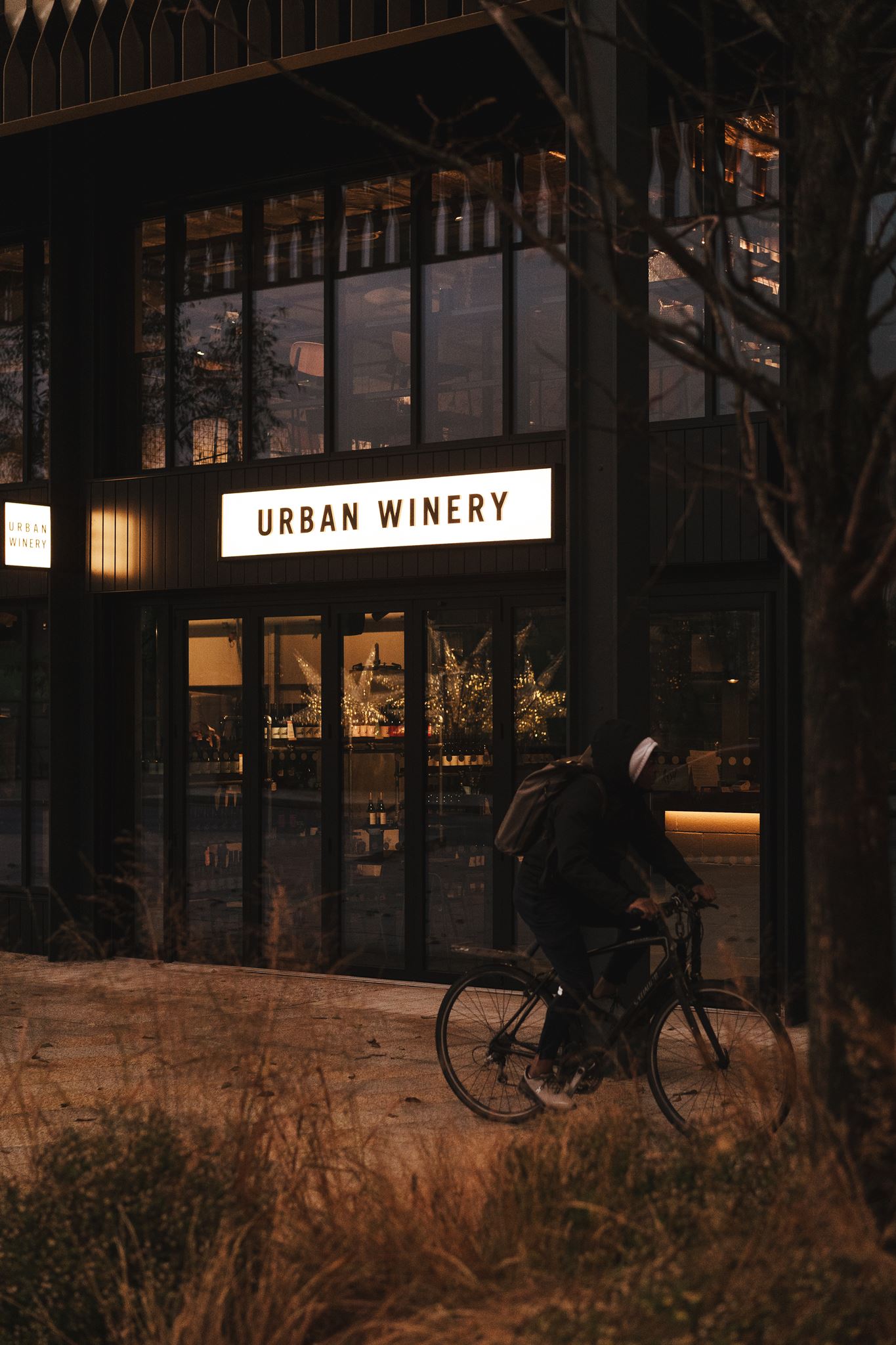 Cyclist passing the lit-up Vagabond Urban Winery sign at dusk