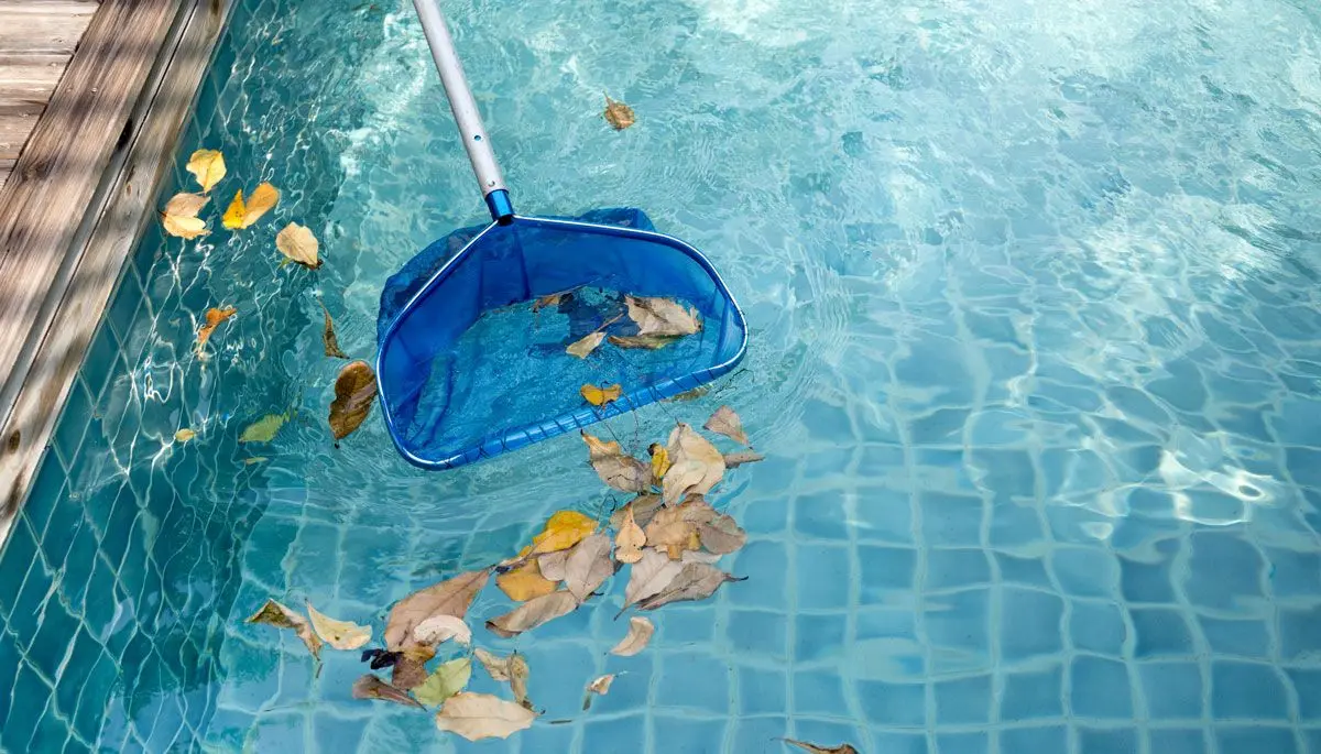 Blue pool skimmer net removing fallen leaves from a backyard swimming pool