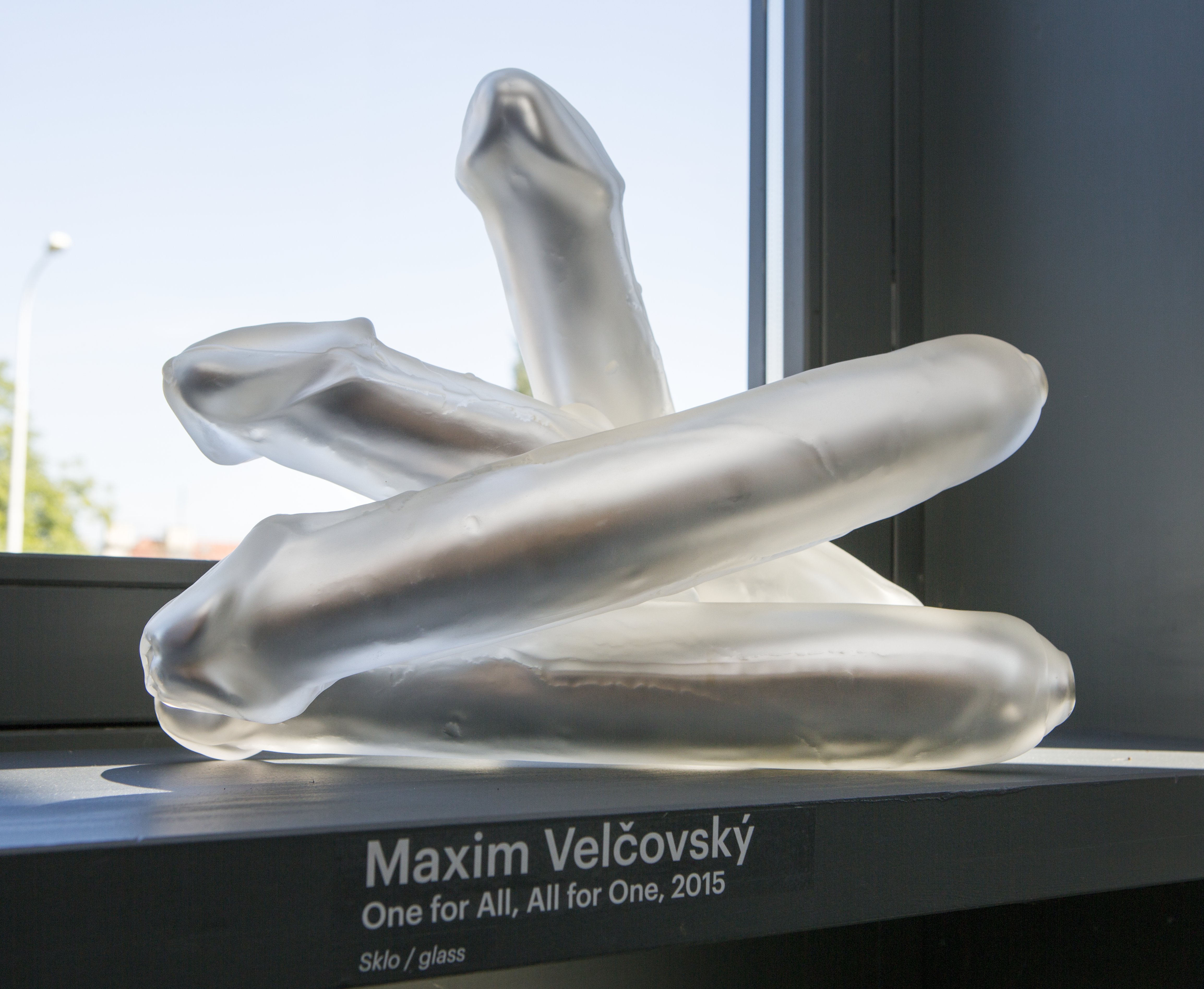 Riikka Latva-Somppi / Maxim Velčovský - Organika – fotografie z výstavy 4
