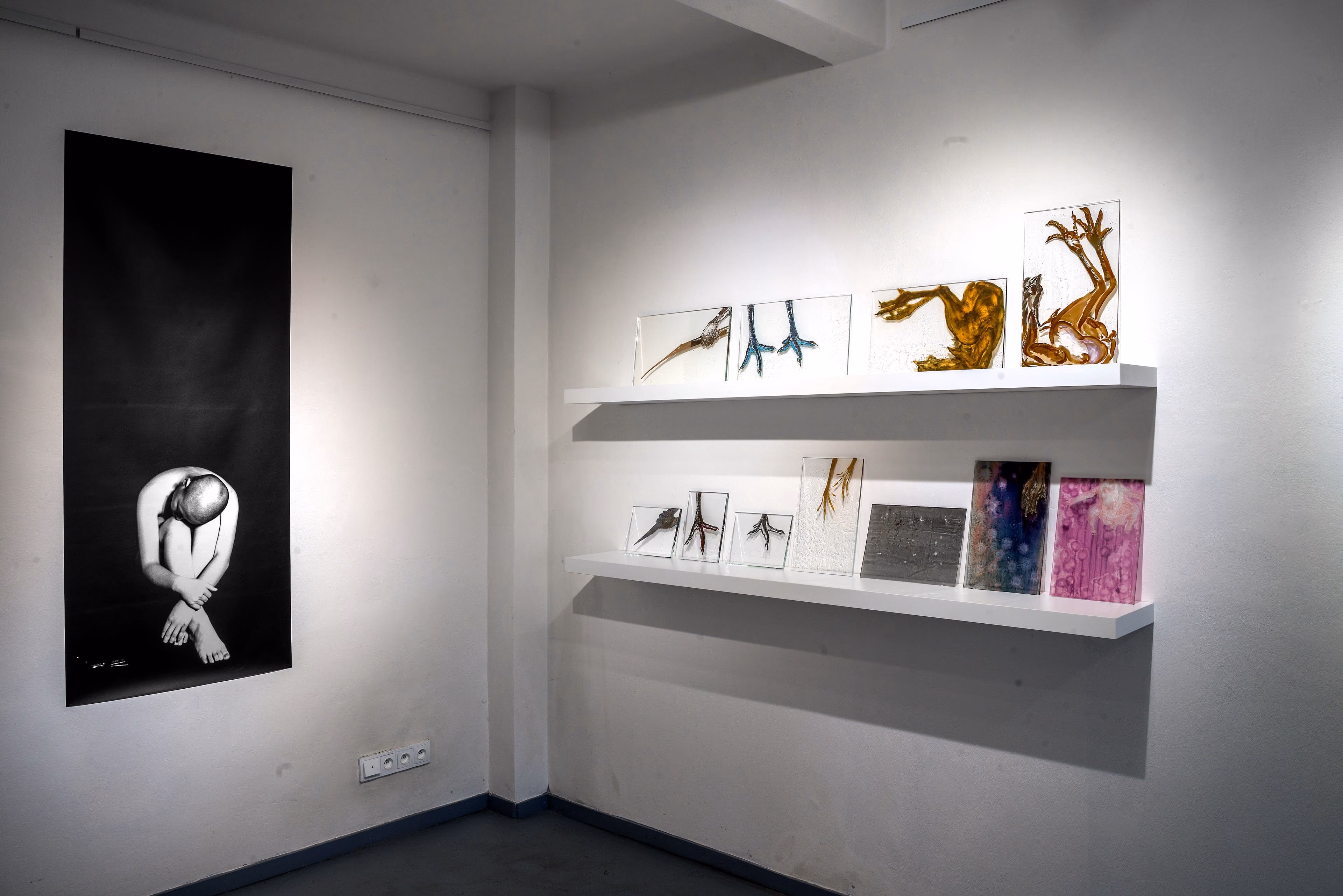 Galerie s černobílou portrétní fotografií a barevnými skleněnými panely na regálech
