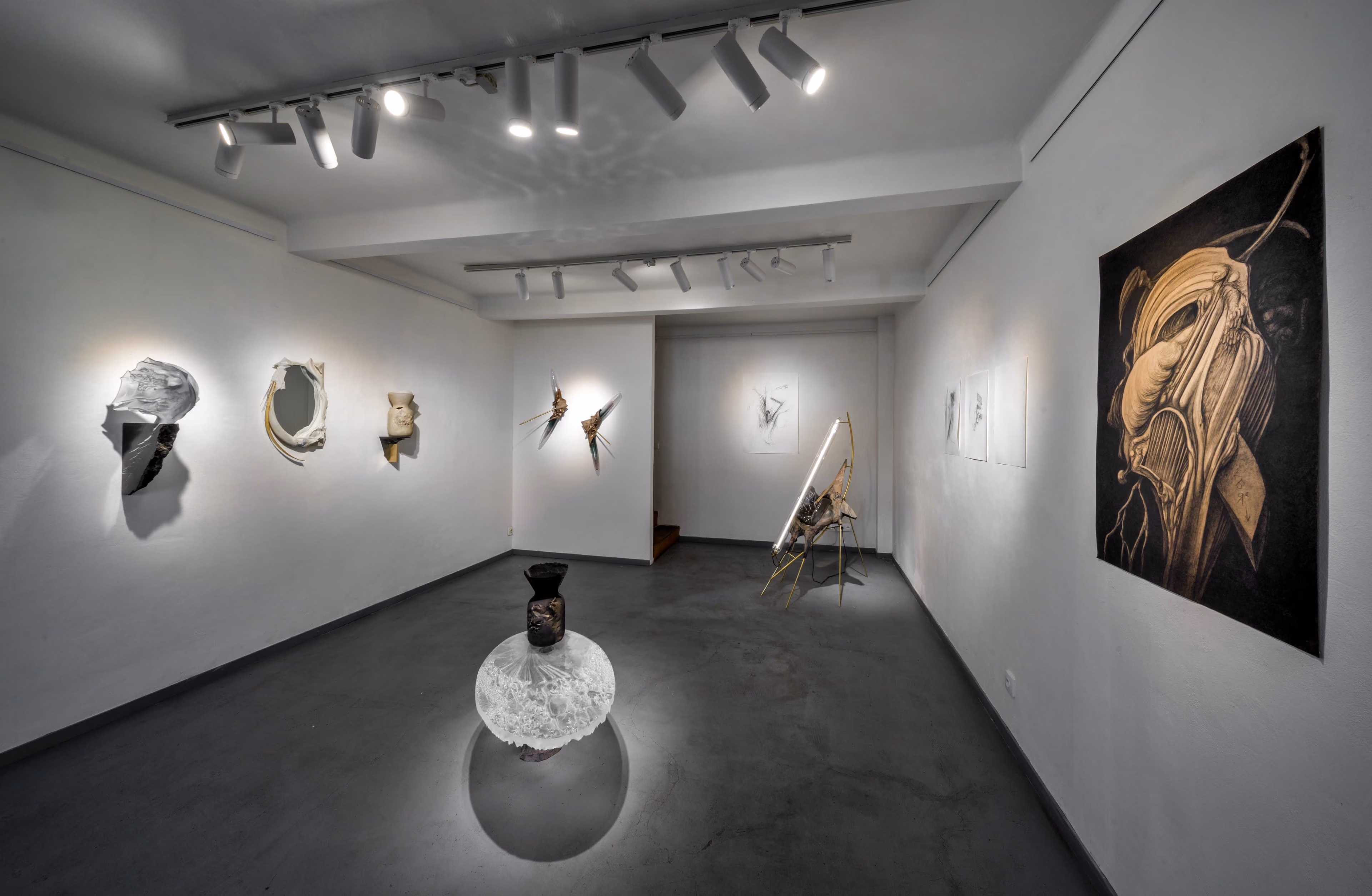 Celkový pohled do galerie s organickými nástěnnými plastikami a velkoformátovou tmavou malbou