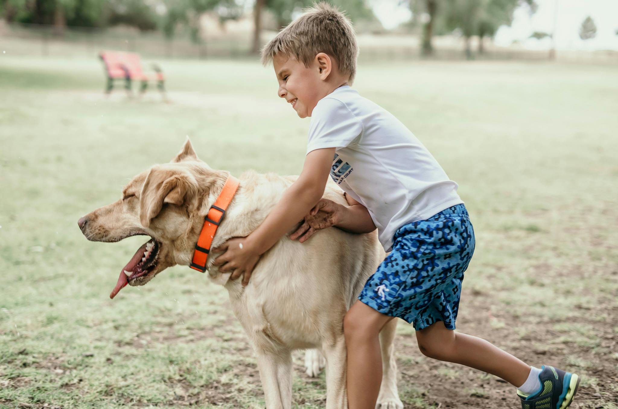 Dog Parks