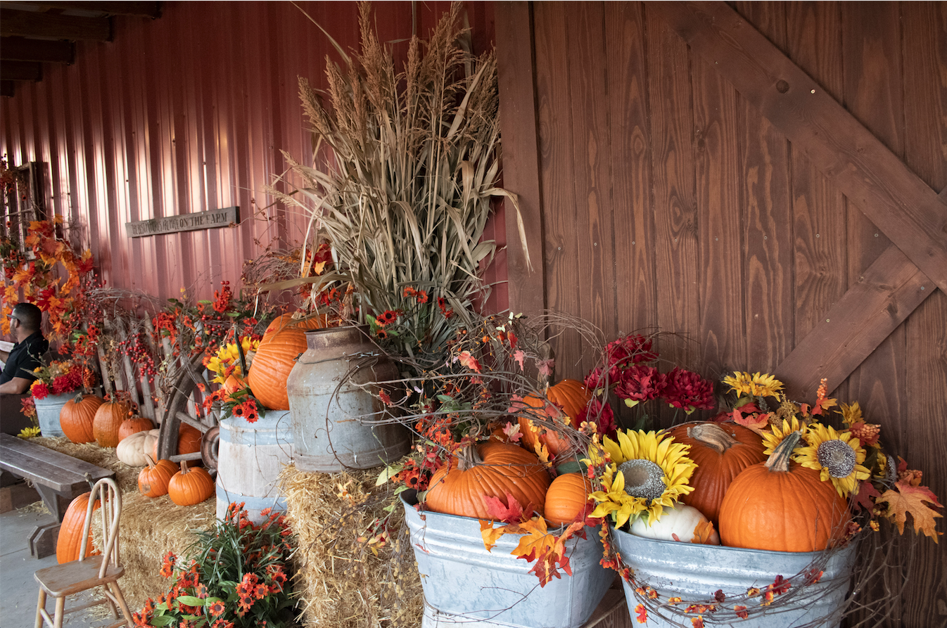 Your Guide to Fall in Lubbock