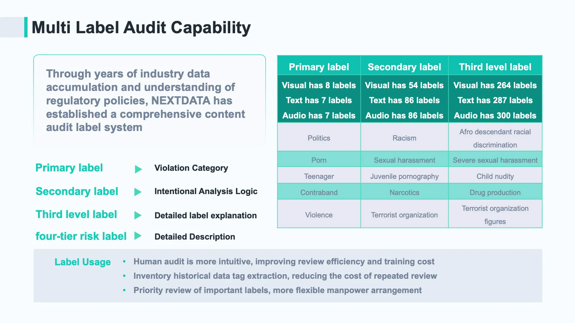 multi label audit capability