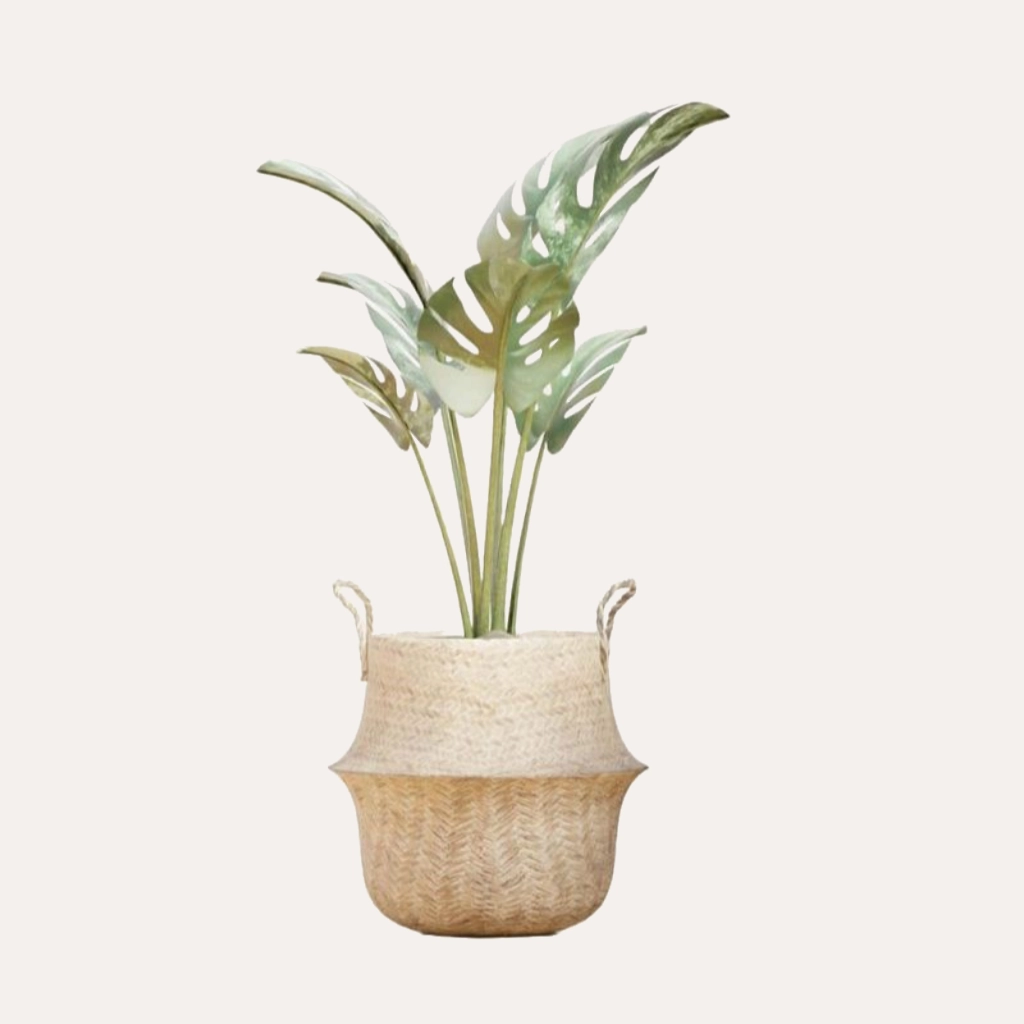 Woven Rattan Pot