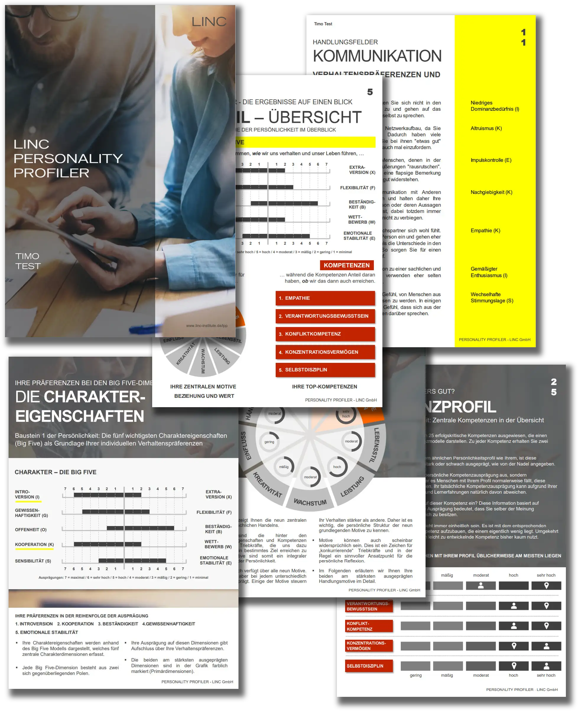 LINC Personality Profiler - Sheets
