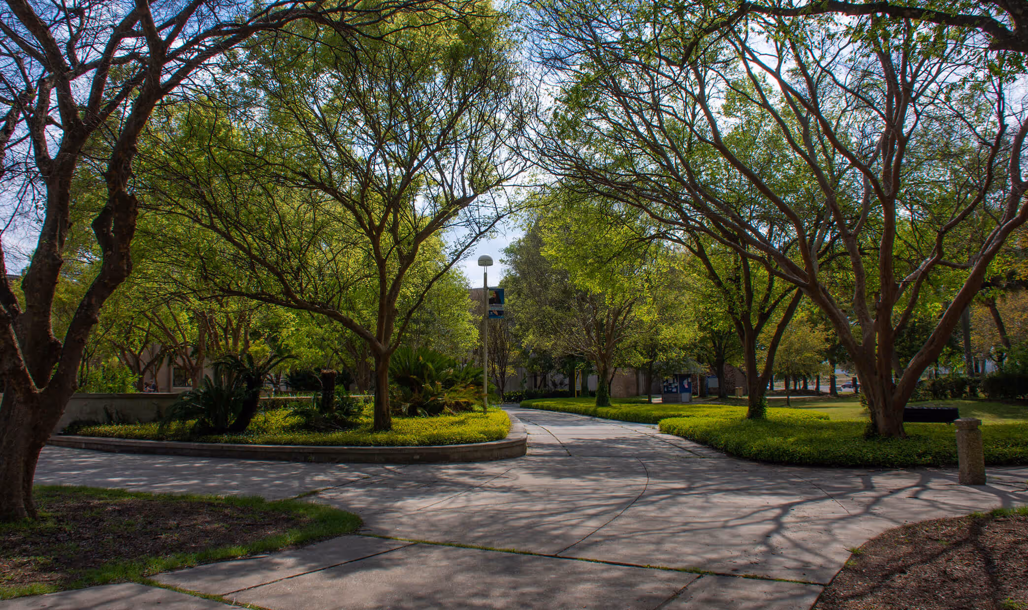 Curved concrete walkway in a green park area with trees casting shadows on the path.