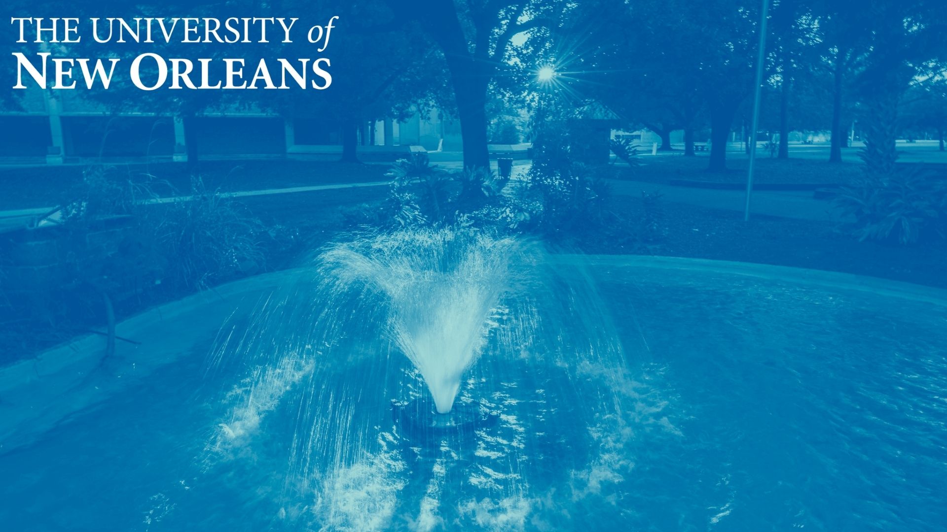 LSU New Orleans