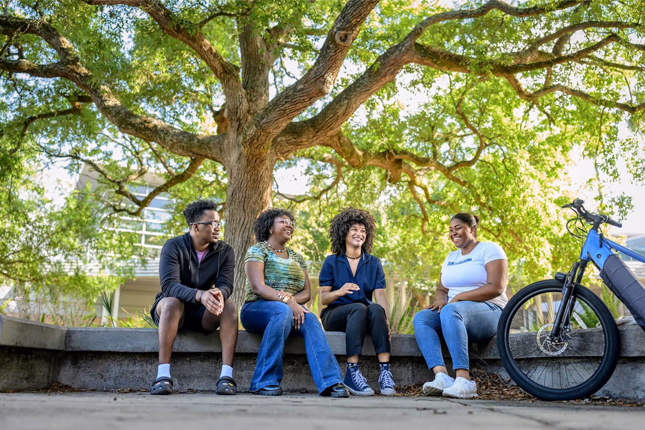Four young adults sitting on a low concrete wall under a large tree, engaged in cheerful conversation.