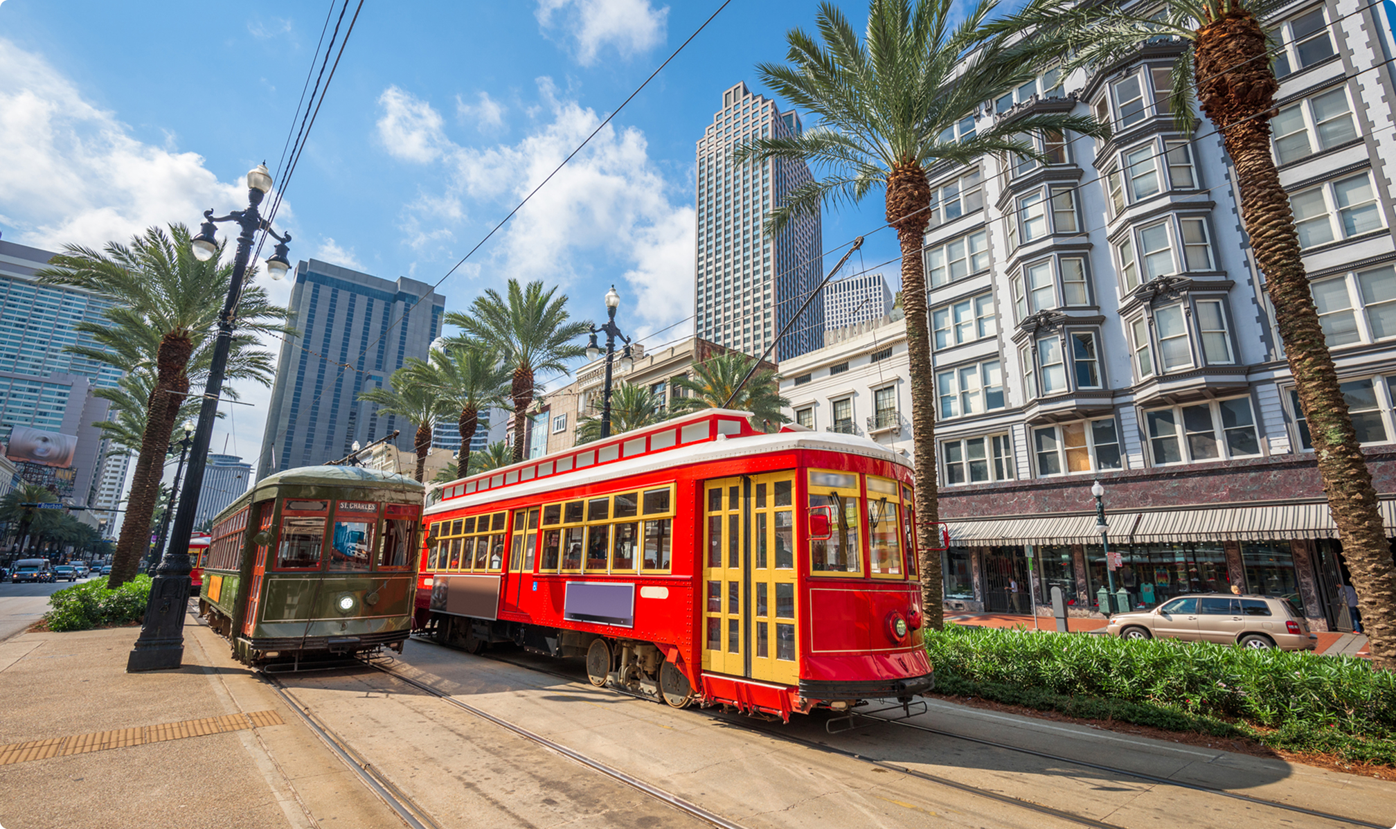 Two vintage streetcars on tracks lined with palm trees in a sunny urban setting with tall buildings.