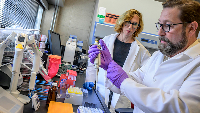 Two scientists in lab coats using pipettes in a laboratory with biohazard warning visible.