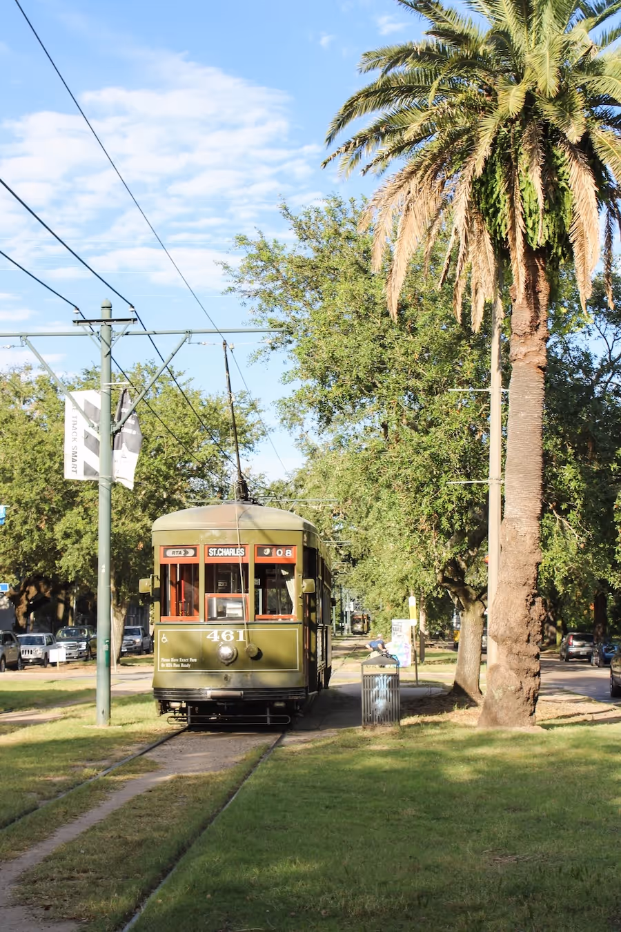 Green trolley car numbered 461 on tracks with palm tree and greenery in a sunny urban park.