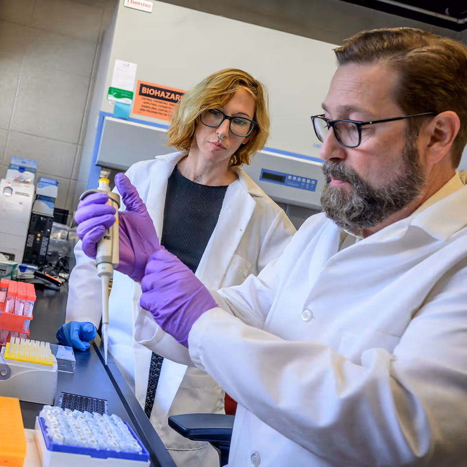Two scientists in lab coats using pipettes in a laboratory with biohazard warning visible.